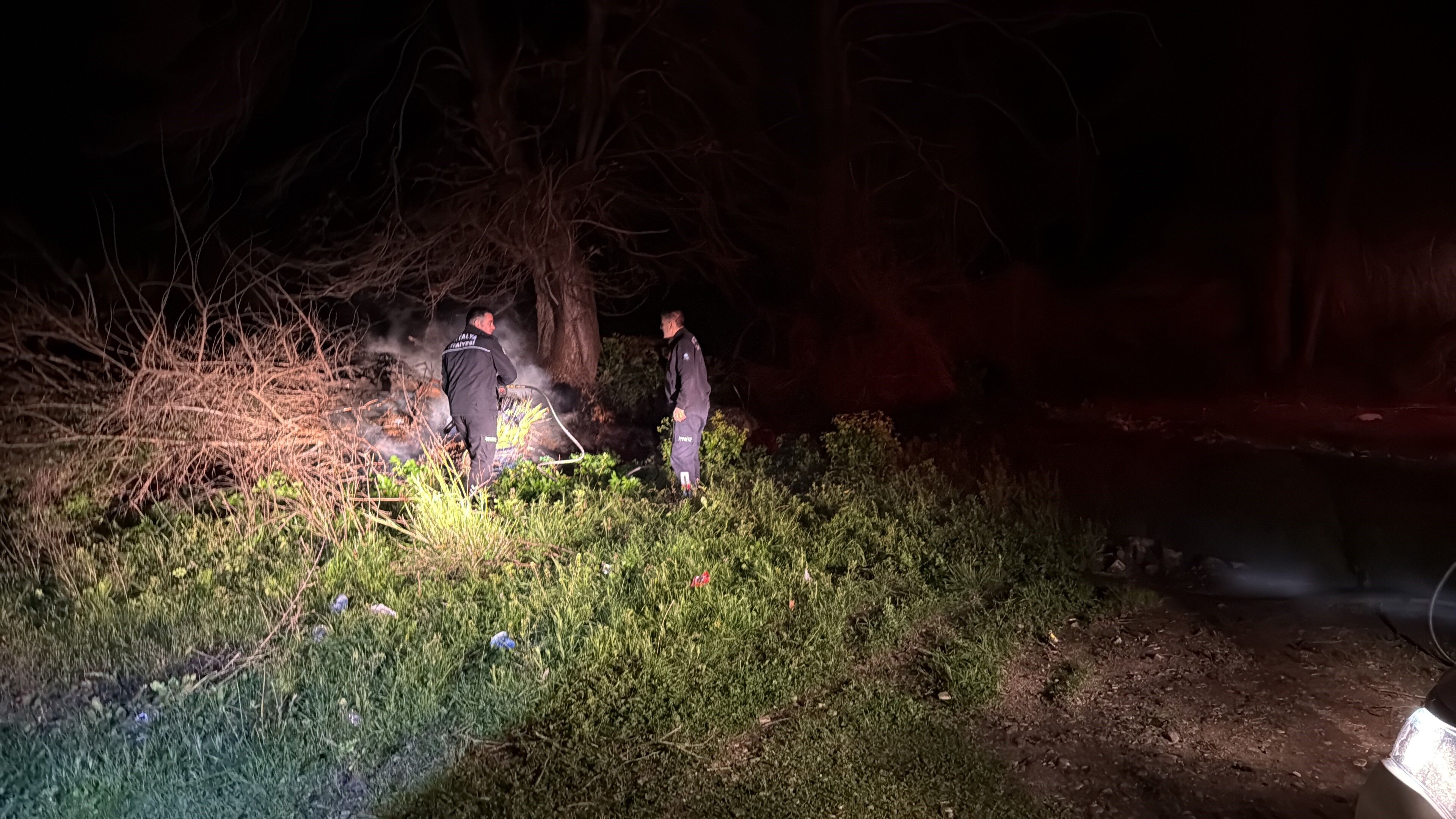 Selinuskalesicevresindeyangincikti