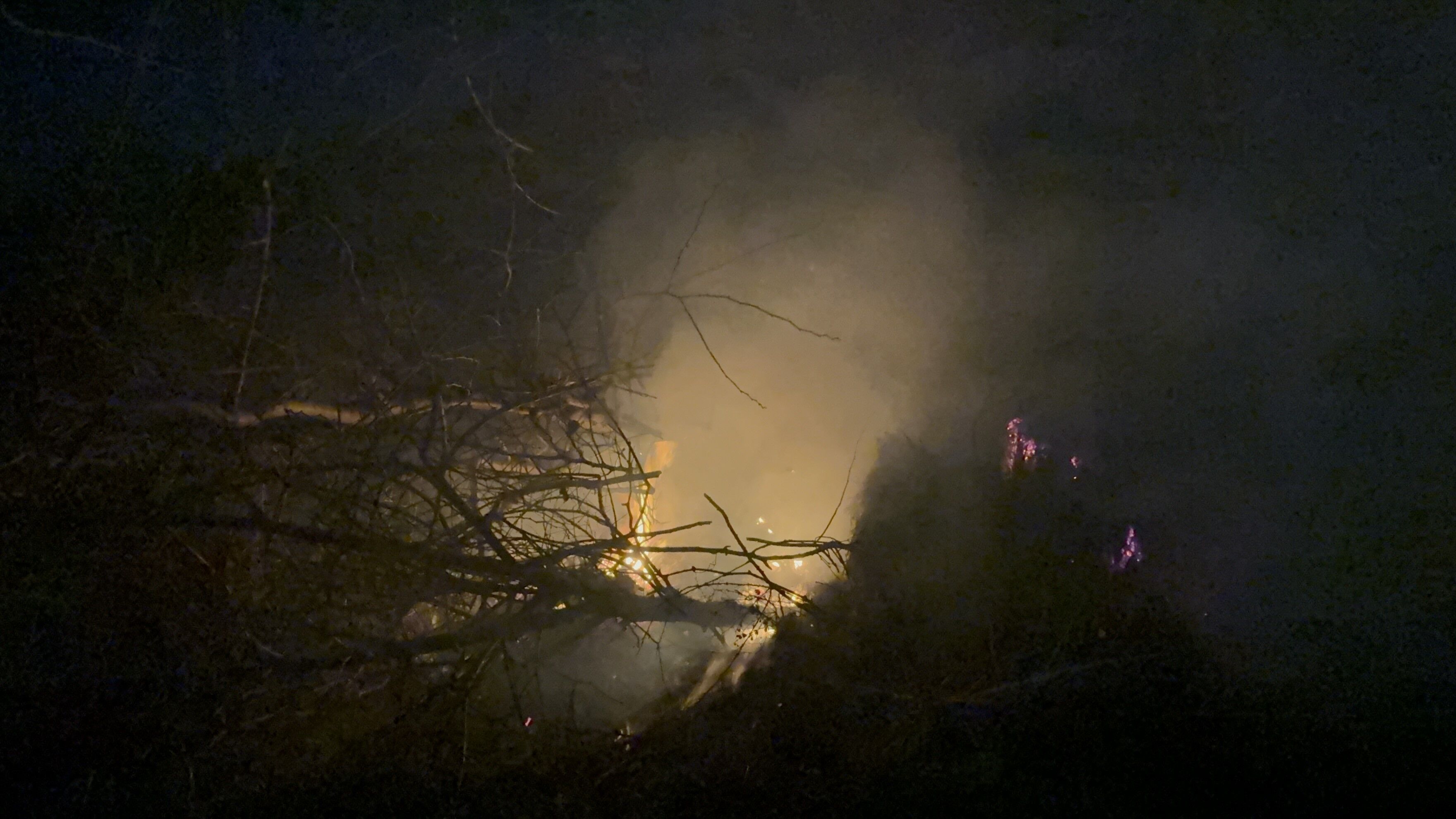 Selinuskalesicevresindeyanginpanigi