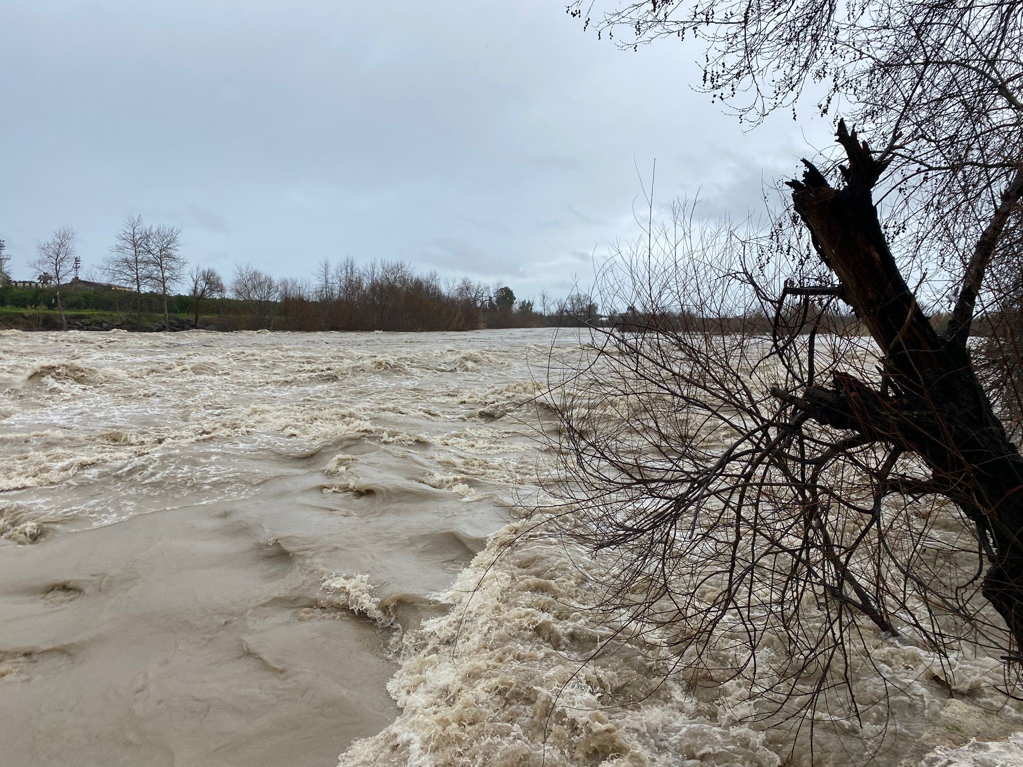 Seriktesaganakkoprucayitasirdiisyerlerivetarimarazilerisularaltindakaldi