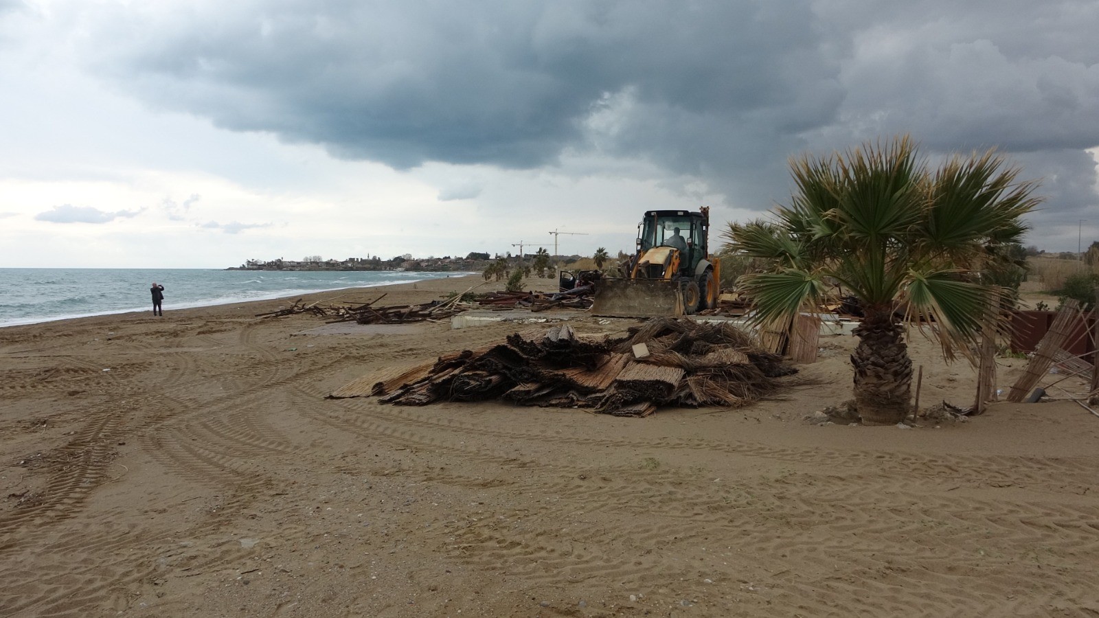 Sidedetarihialankorumaaltinaalindi