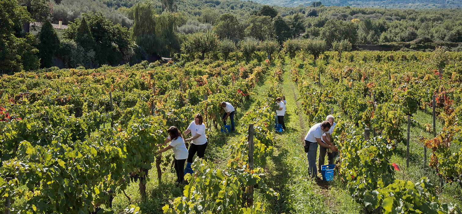 Ureticilerdikkatdestekleryanabilir