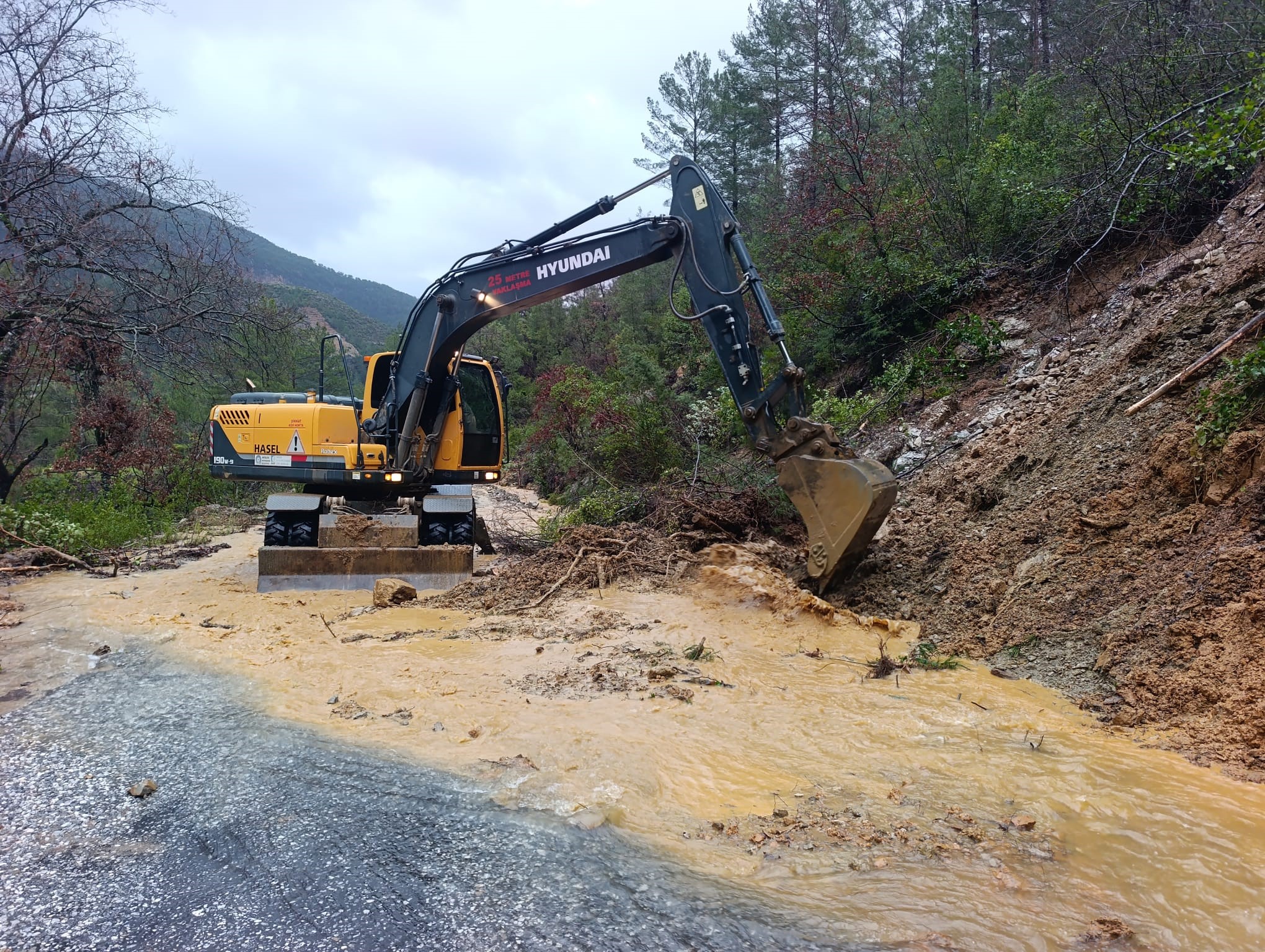 Yagislarinyaralarisariliyor