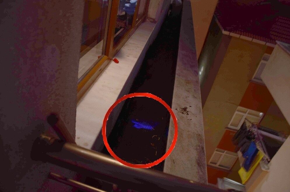 2019Dakikayipdosyacnayetcikti