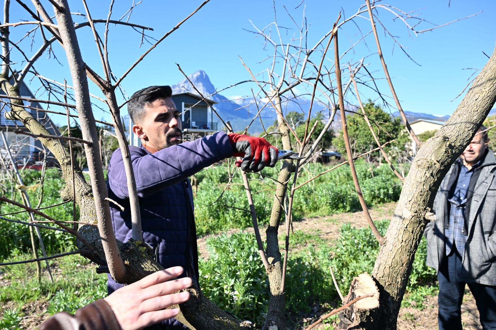 Agacbudamatekniklerisahadaogretildi