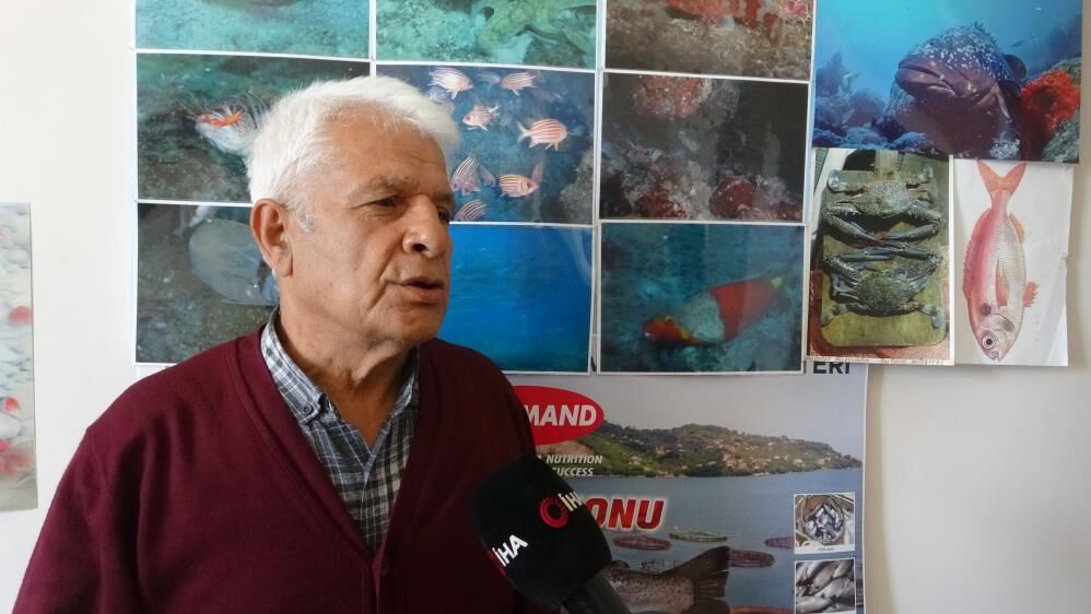 Akdenizinenbuyuguantalyadazehriyakici