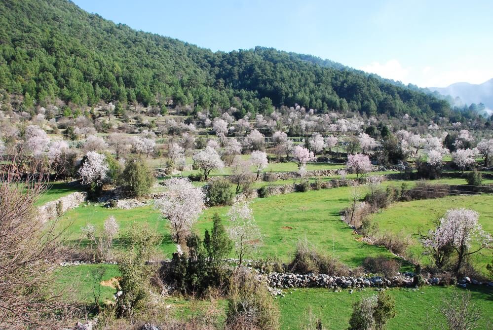 Aksekiyebahargeldikartpostallikgoruntu