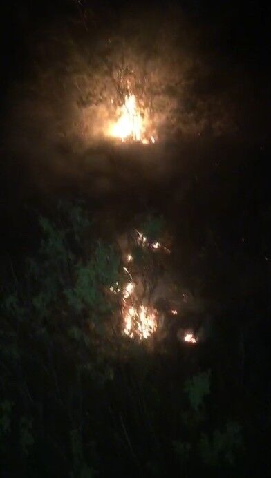 Alanyadakorkutanyangin-4