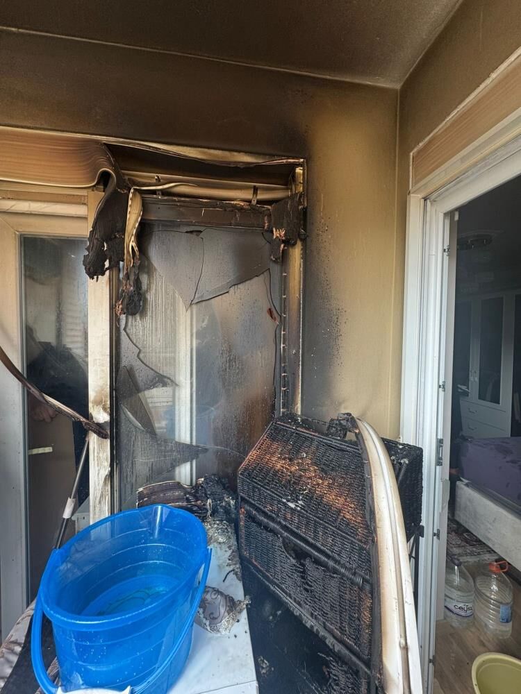 Alanyadayanginpanigidiscephe