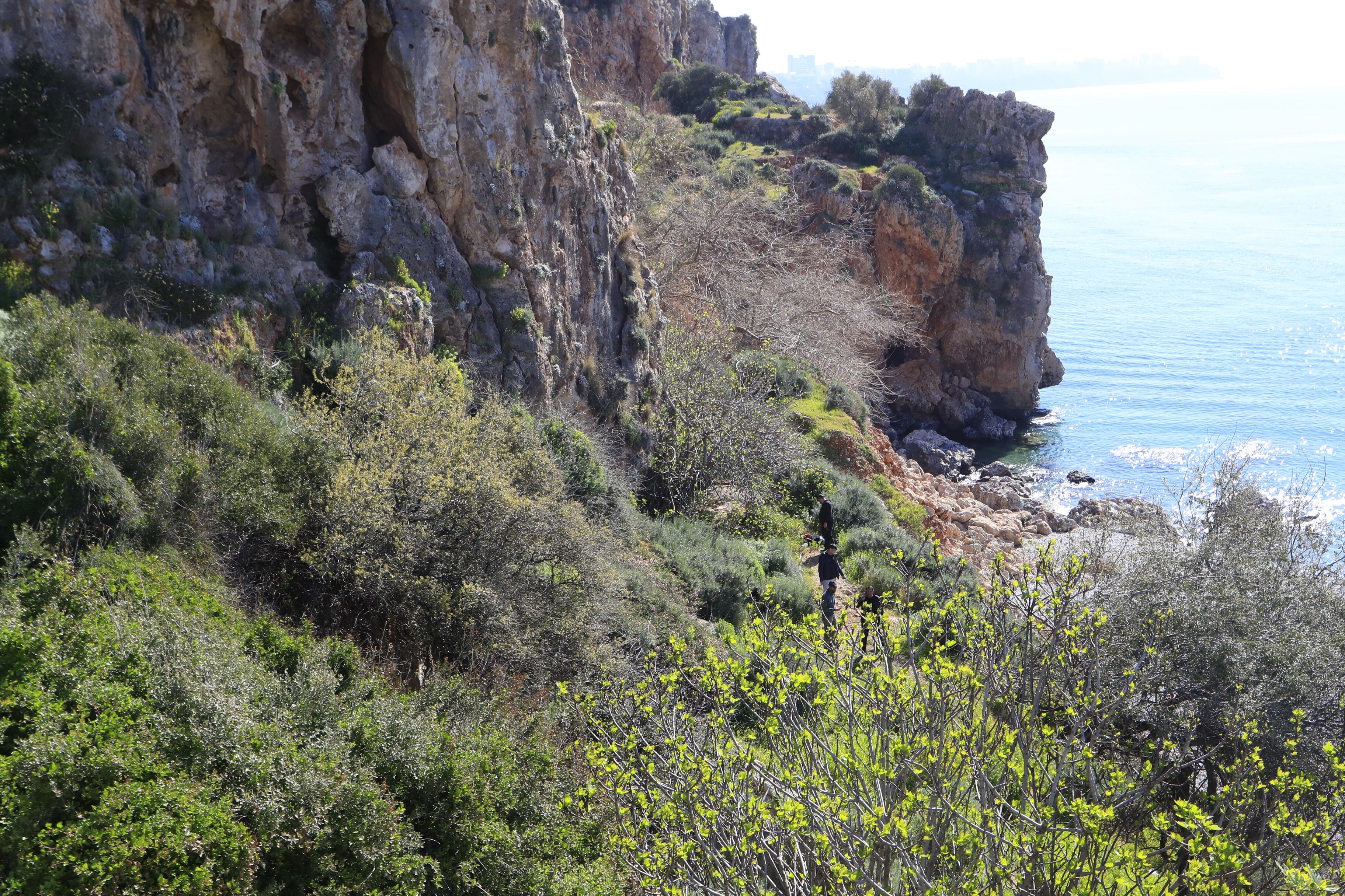 Antalyada20Metreyuksektendususteinciragaciilehayatatutundu