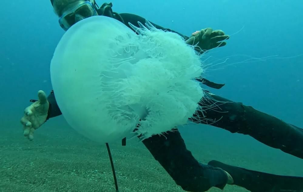 Antalyakorfezindedenizanasiyogunluguuzmandenizanlarinakarsiuyardi