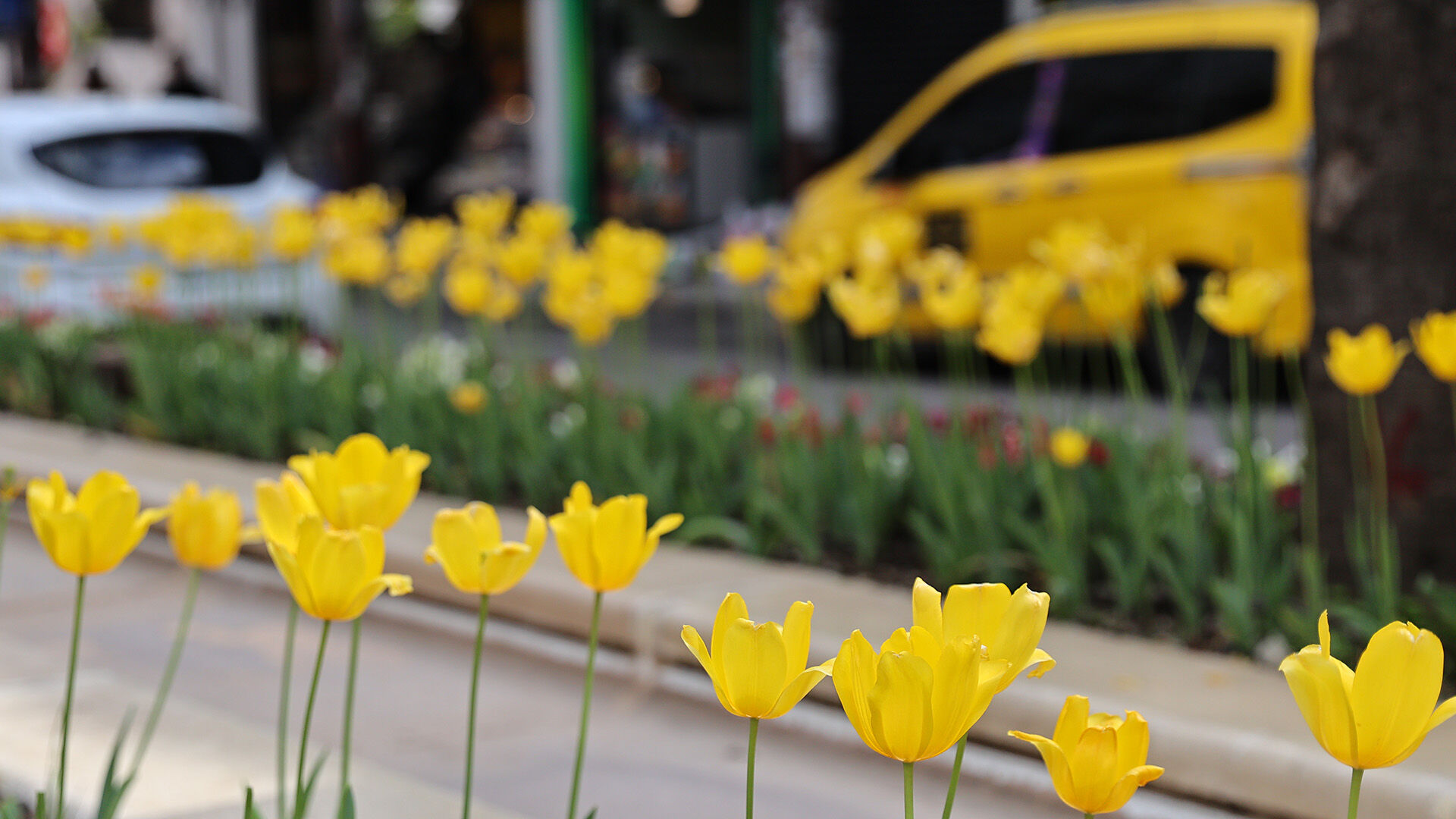 Antalyasokaklarinabahargeldi