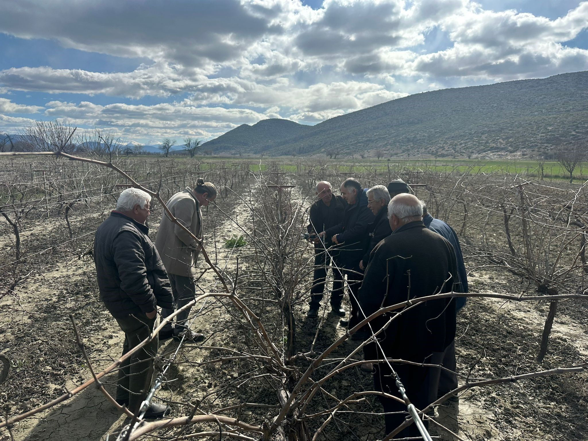 Budamaegitimiverildi