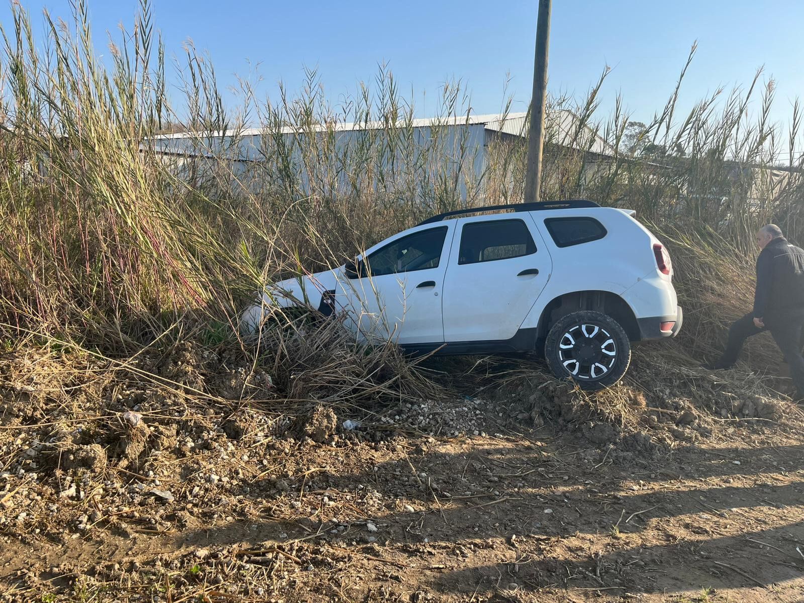 Direksiyonhakimiyetinikaybettitarlayauctu