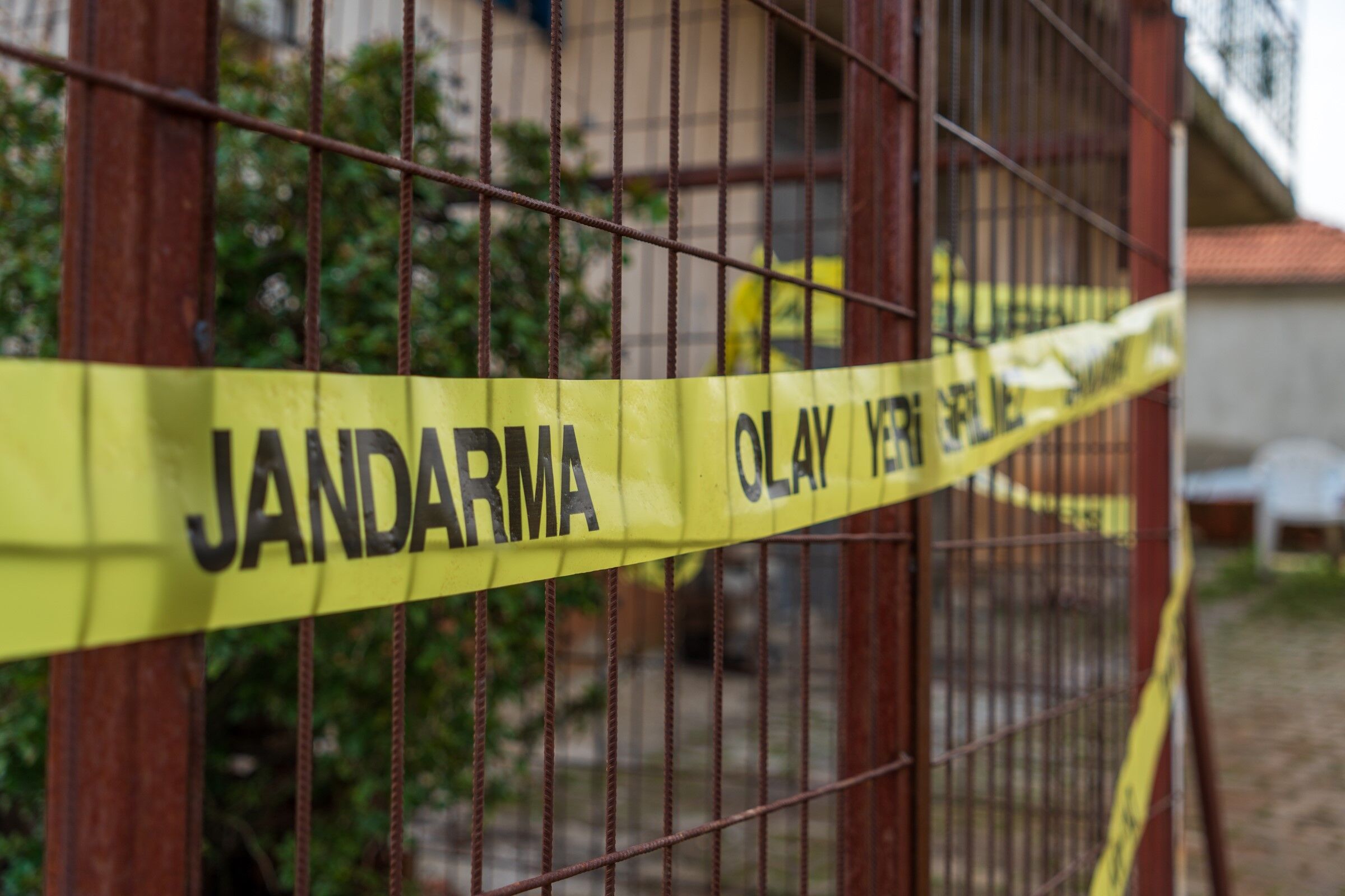 Esiniveailesinikatletti