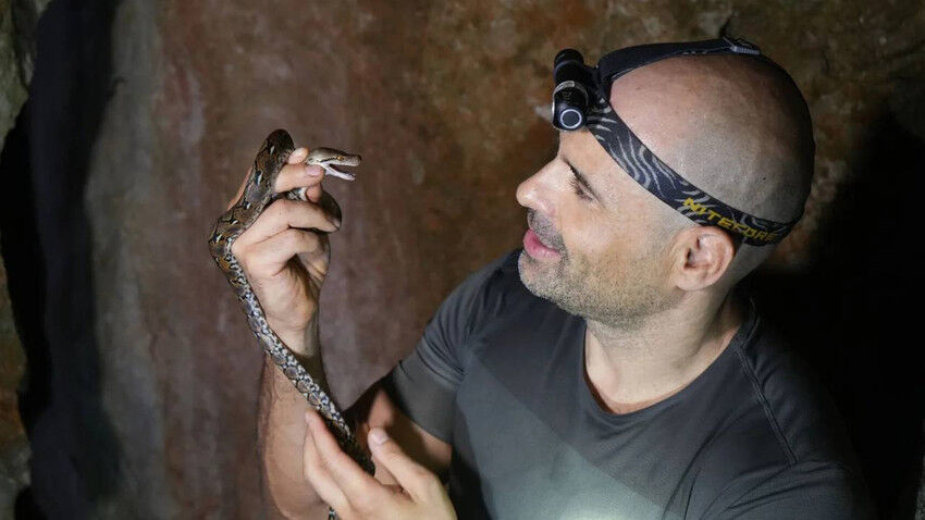 Essizcanliturlerikesfedildiucanyilanbilevar