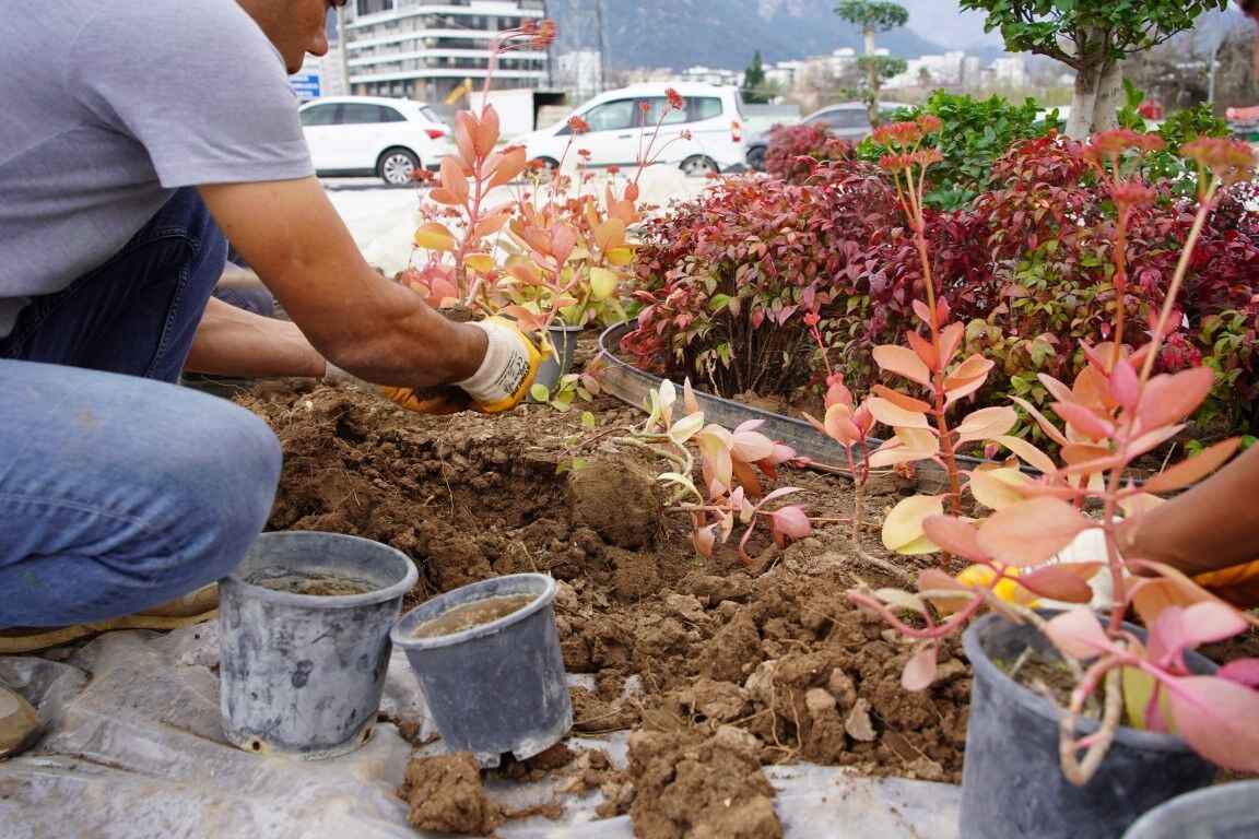 Kavsaklardacevredostupeyzajcalismasi