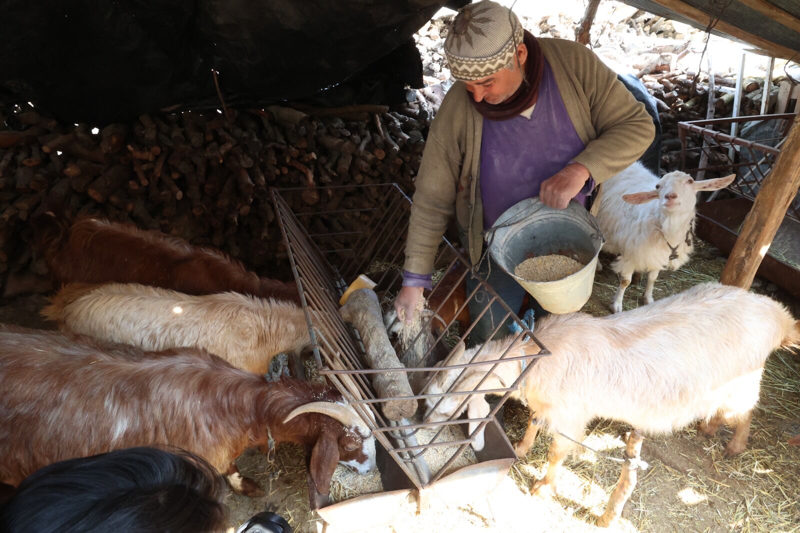 Korkuteliciftcilerikendiyeminiuretiyorbuyuksehirdenyenimakine