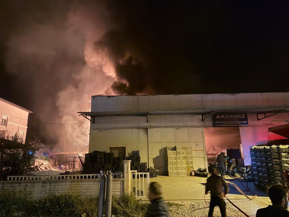 Manavgattayanginmuztesisiyandi