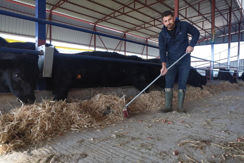 Mühendisligibiraktihayvanciligabasladi