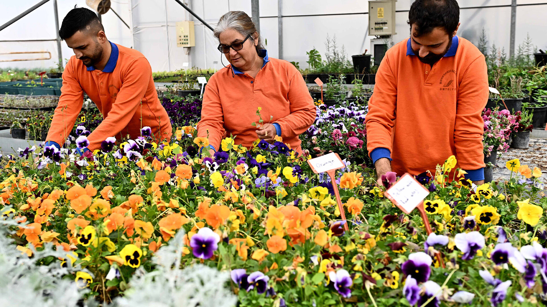 Muratpasabelediyesindenornekmodel