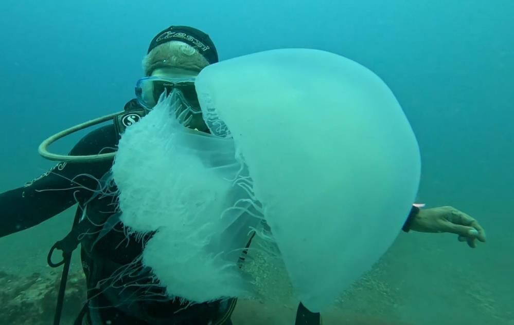 Uzmandandenizanalarinakarsıuyari