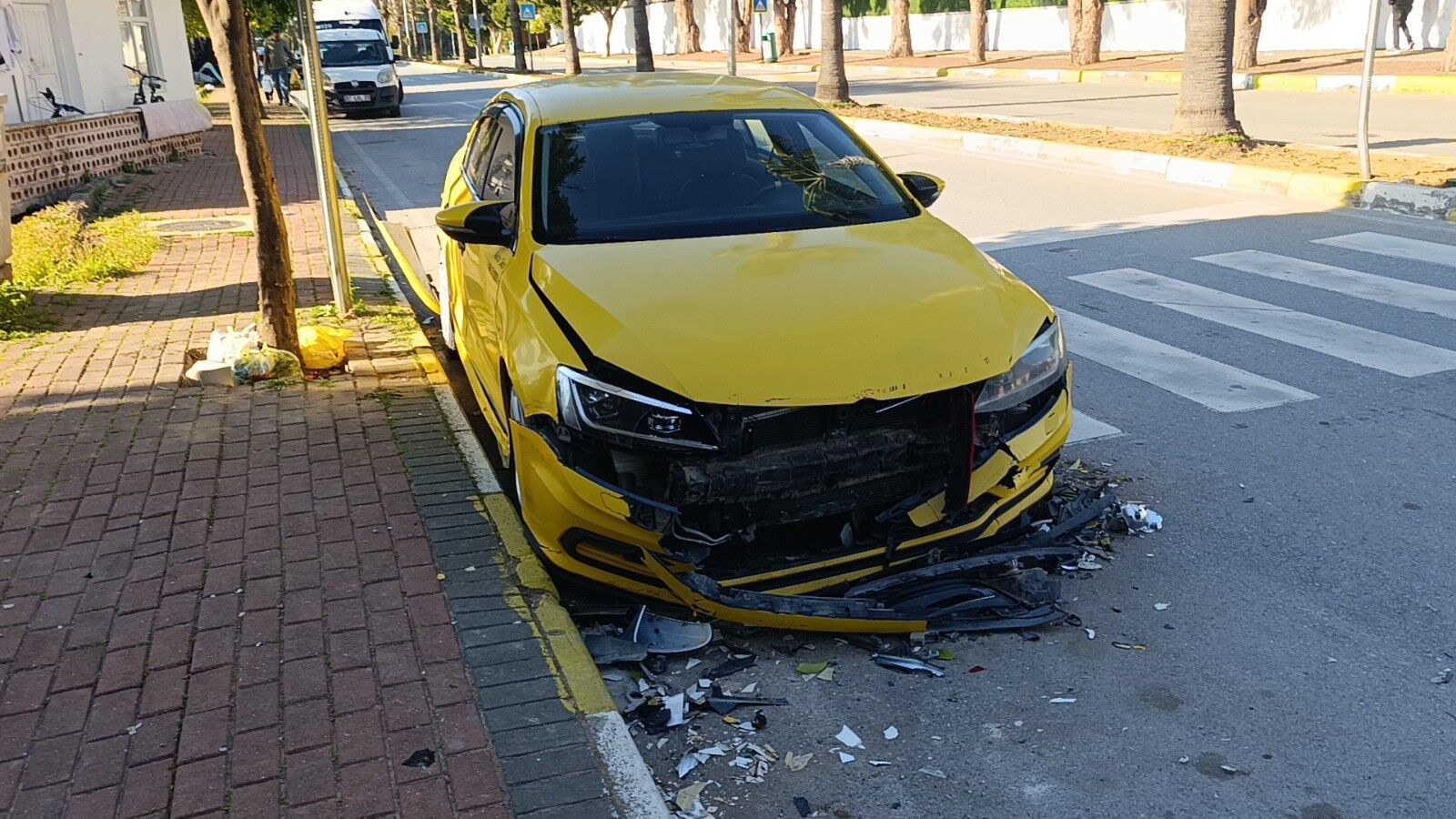 3Aracacarpiportaligibirbirinekatti