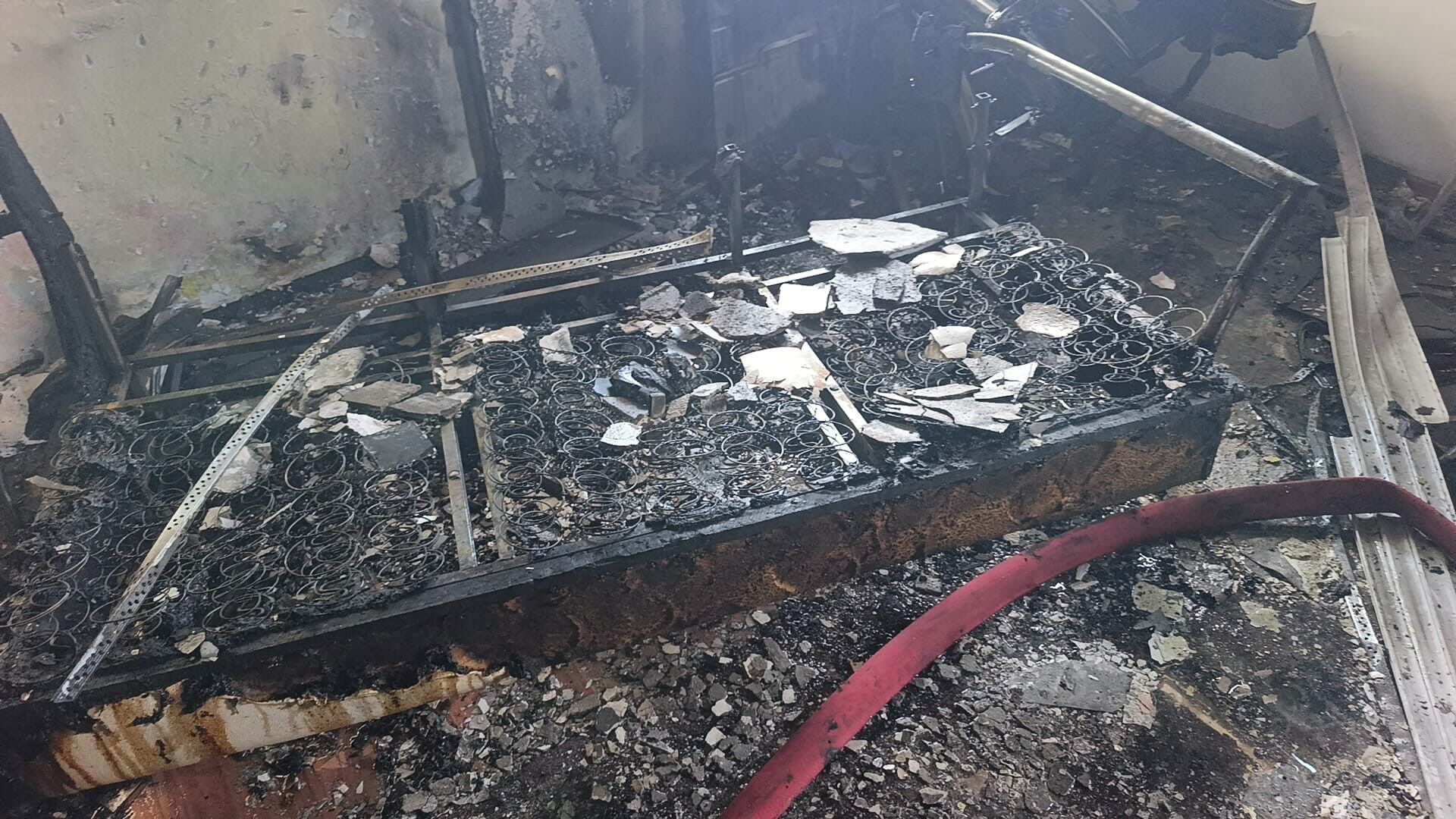 3Katlibinadayangincikti