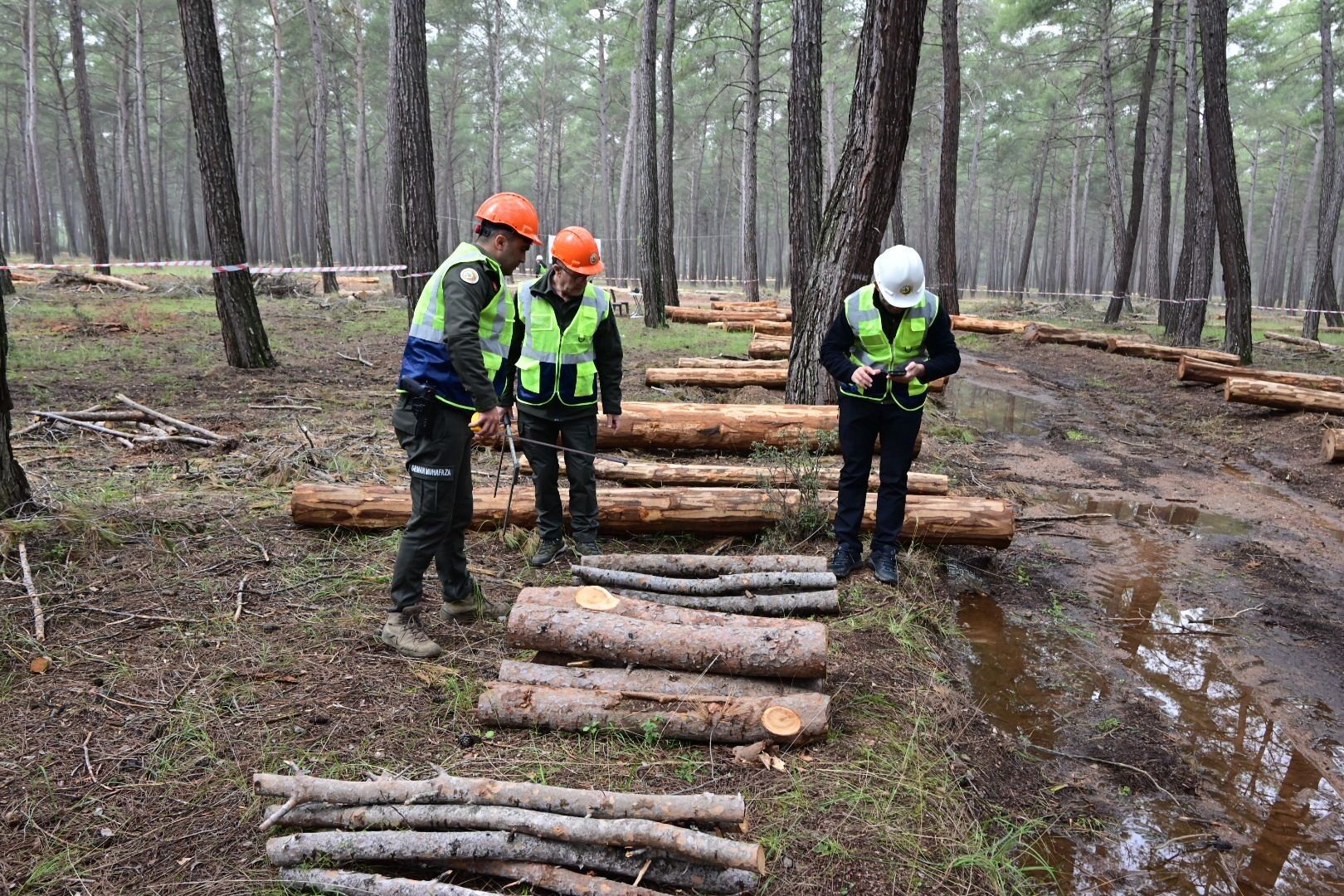 6Parkurdakiyasiyarekabet