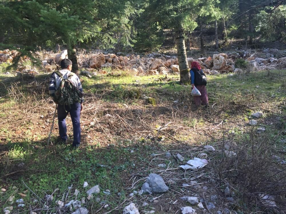 Aksekidekuzugobegihasatibasladi