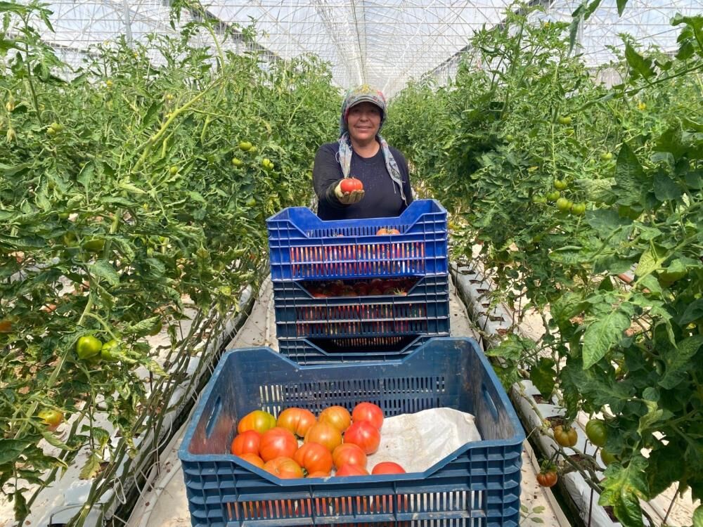 Aksudakadinemegiuretim