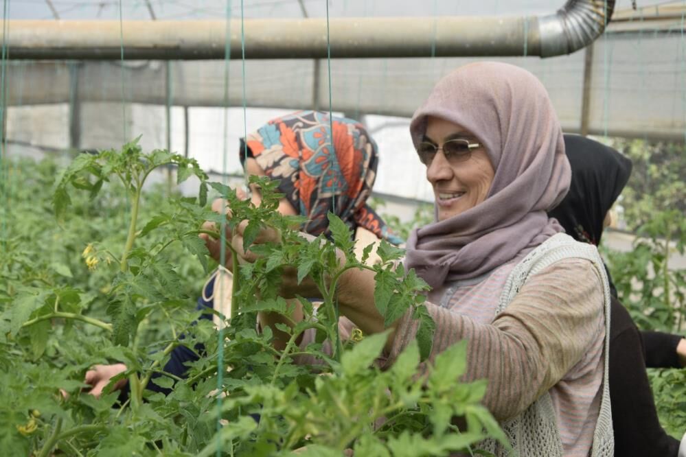 Aksudakadinlaruretimde