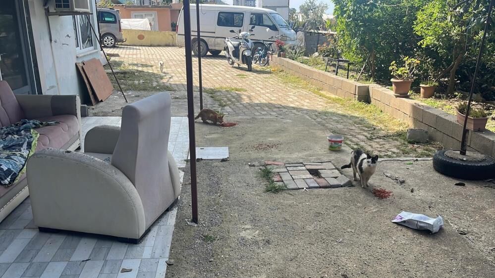 Alanyadakiralanandairedenakilalmazgoruntugenclerkurtardi