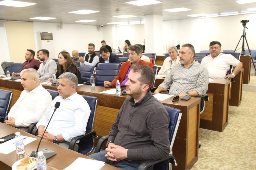 Altsodaalanyaekonomisielealindi