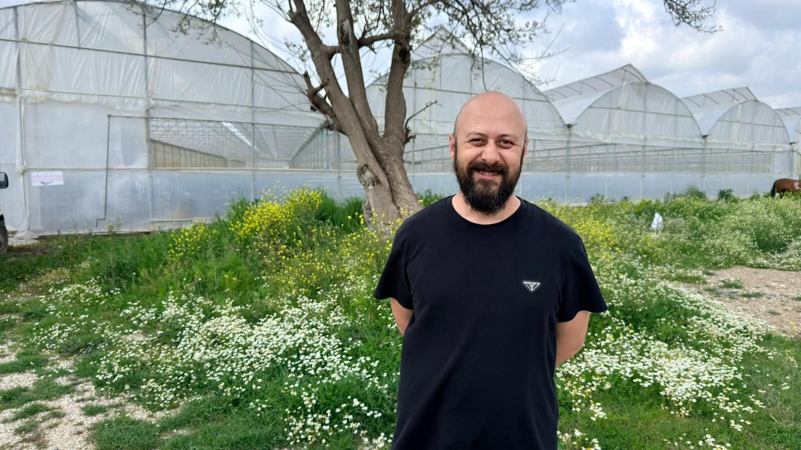 Egitimikaptiserikteuretimebasladicilekleridunyapazarinda