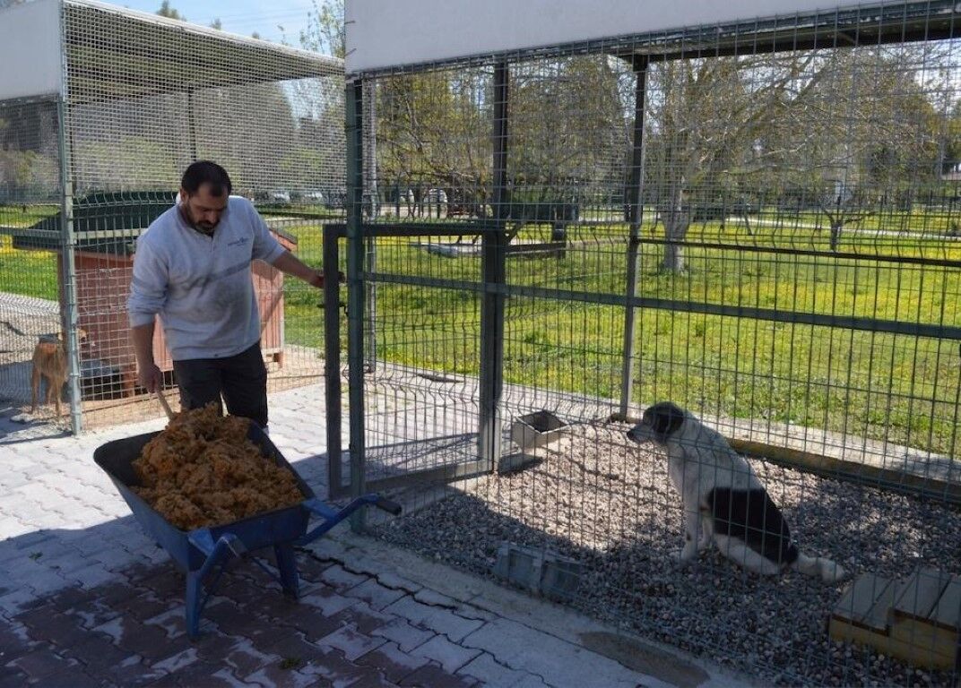 Hicbiryemekcopegitmeyecek