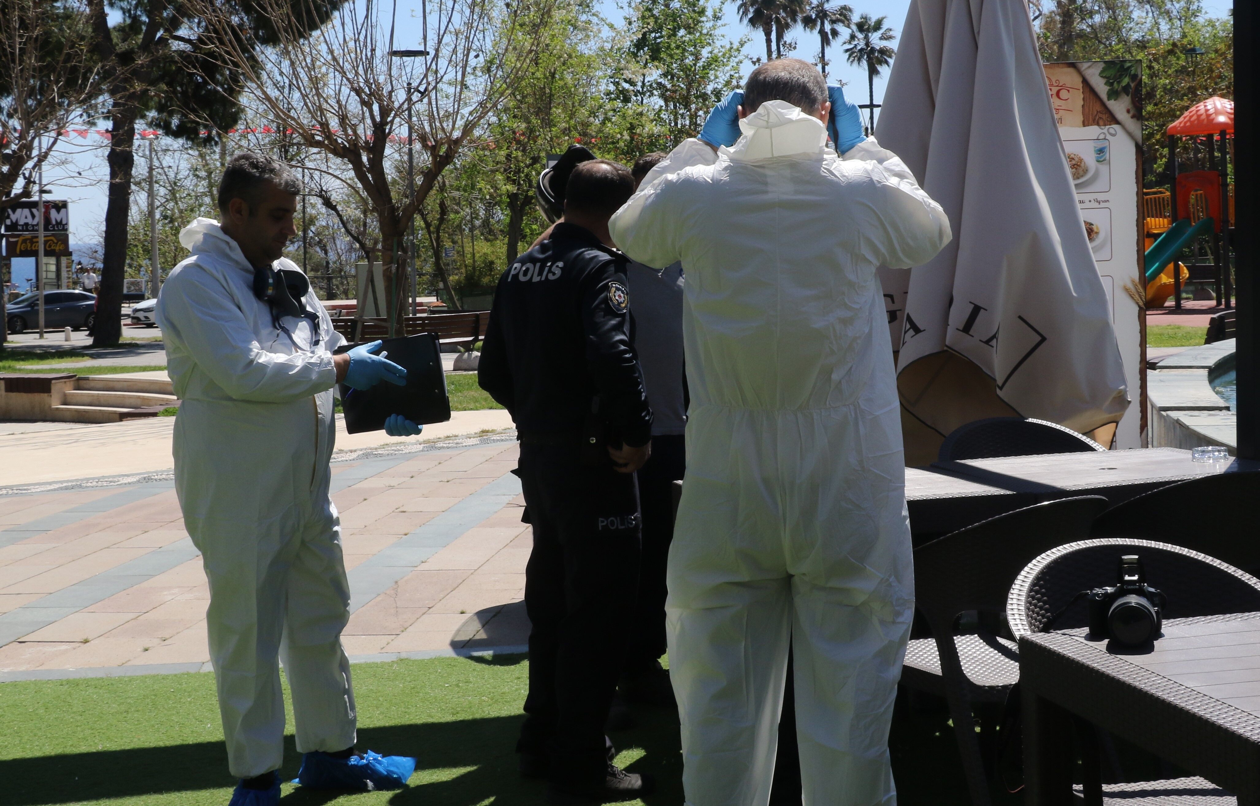 Kotukokugercegiortayacikardi