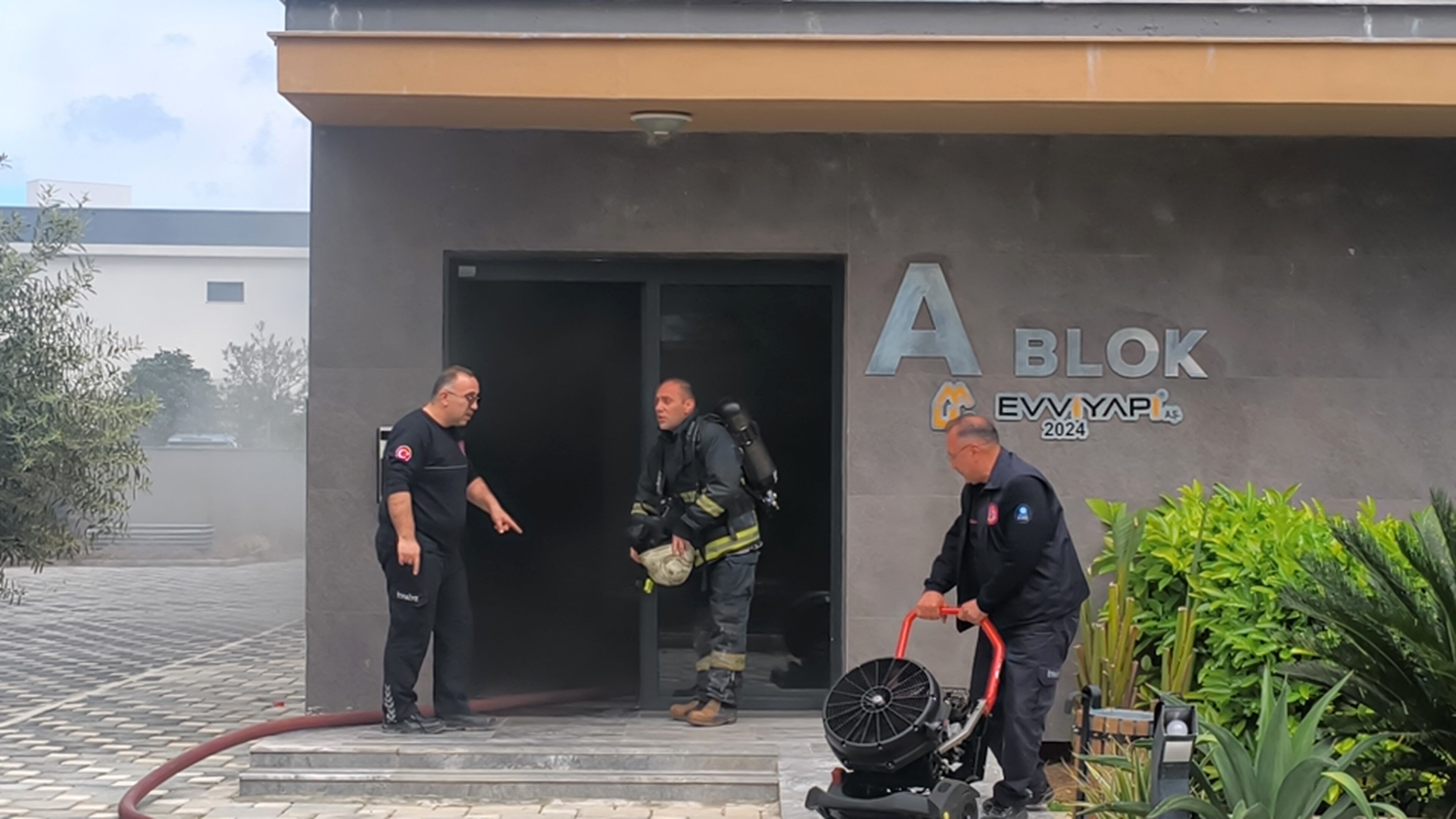 Luksbinaalevlereteslimoldu