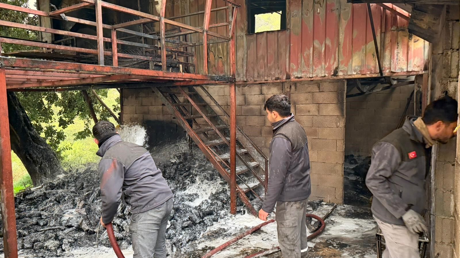 Mustakilevyangindakuledondu