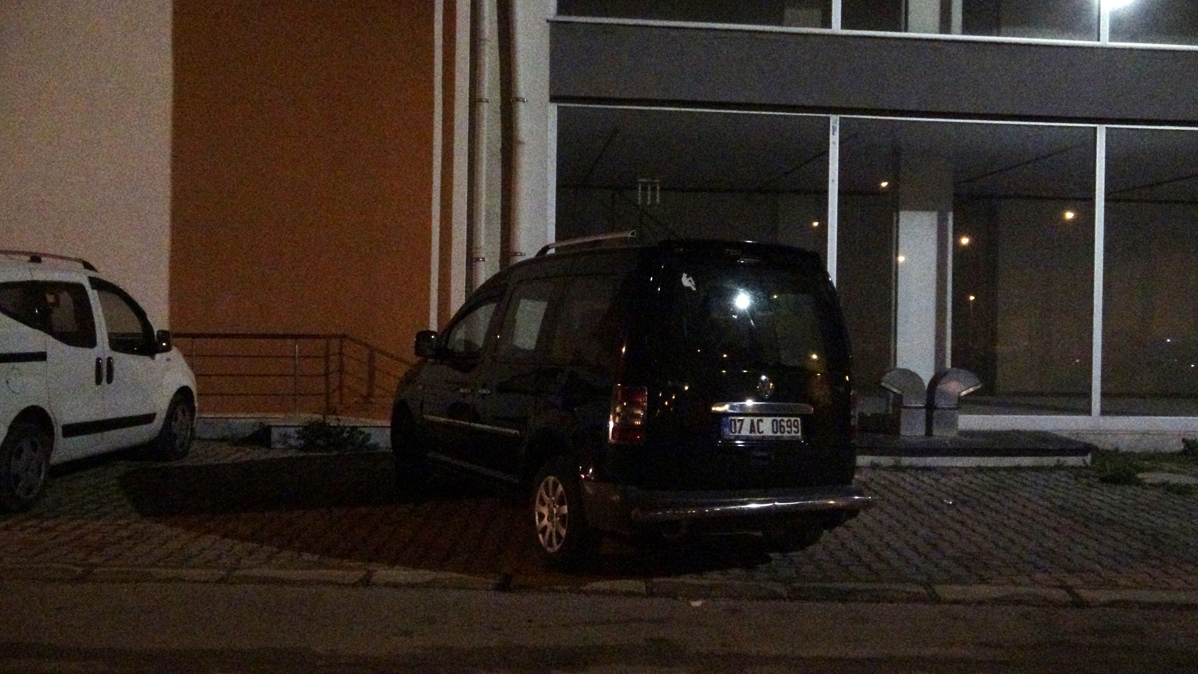 Polisotosunacarpipkacti