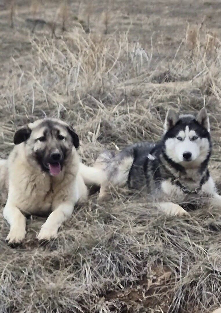 Rusguzelegonlunukaptirankangalatepkibizimerkeklerimiz
