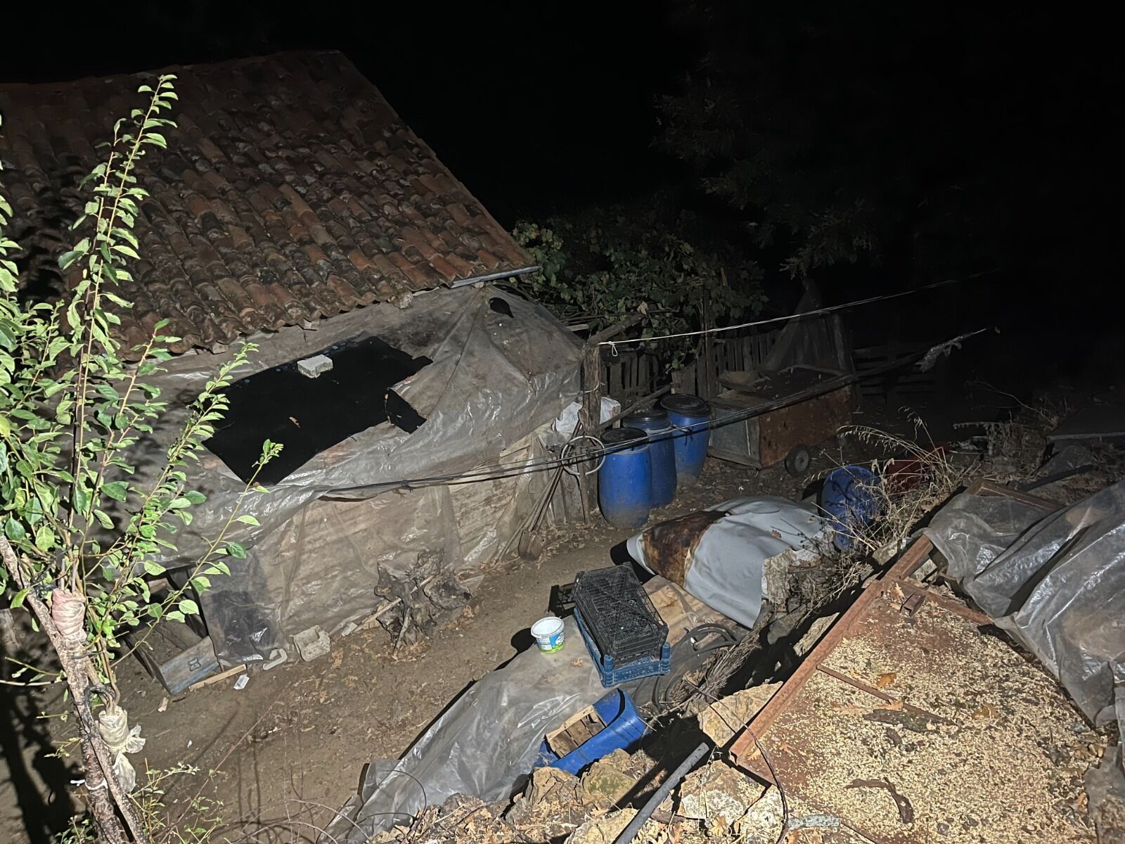 Sarsanolaylarinardindanemsalkararcocuksaniklararekorceza