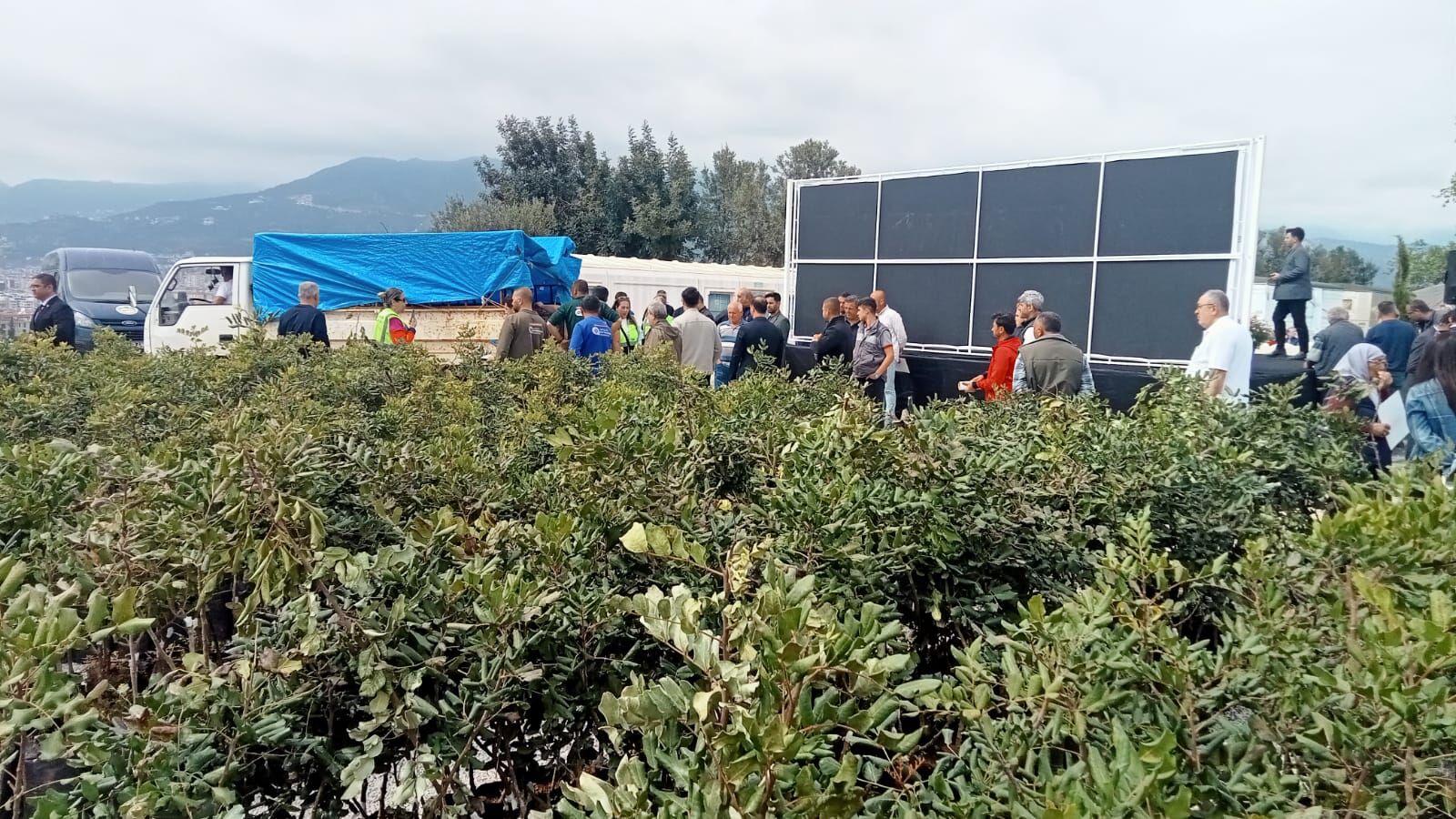 Tarimadegerkatiliyor