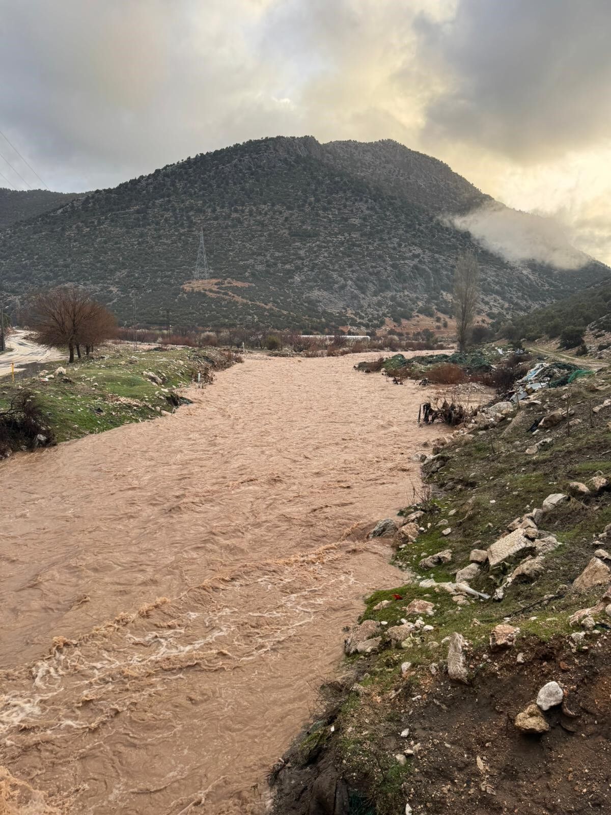 Tarimarazailerinisubasti