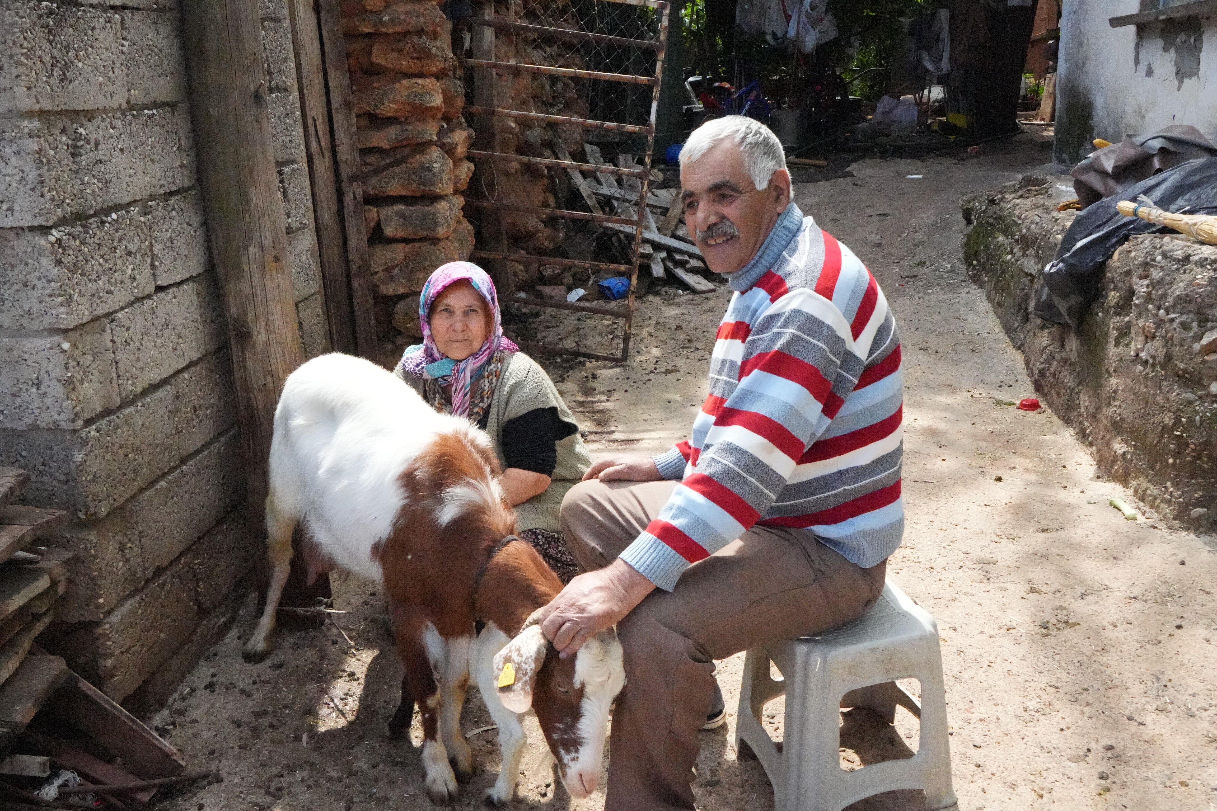 Teksikayetneleremaloldu