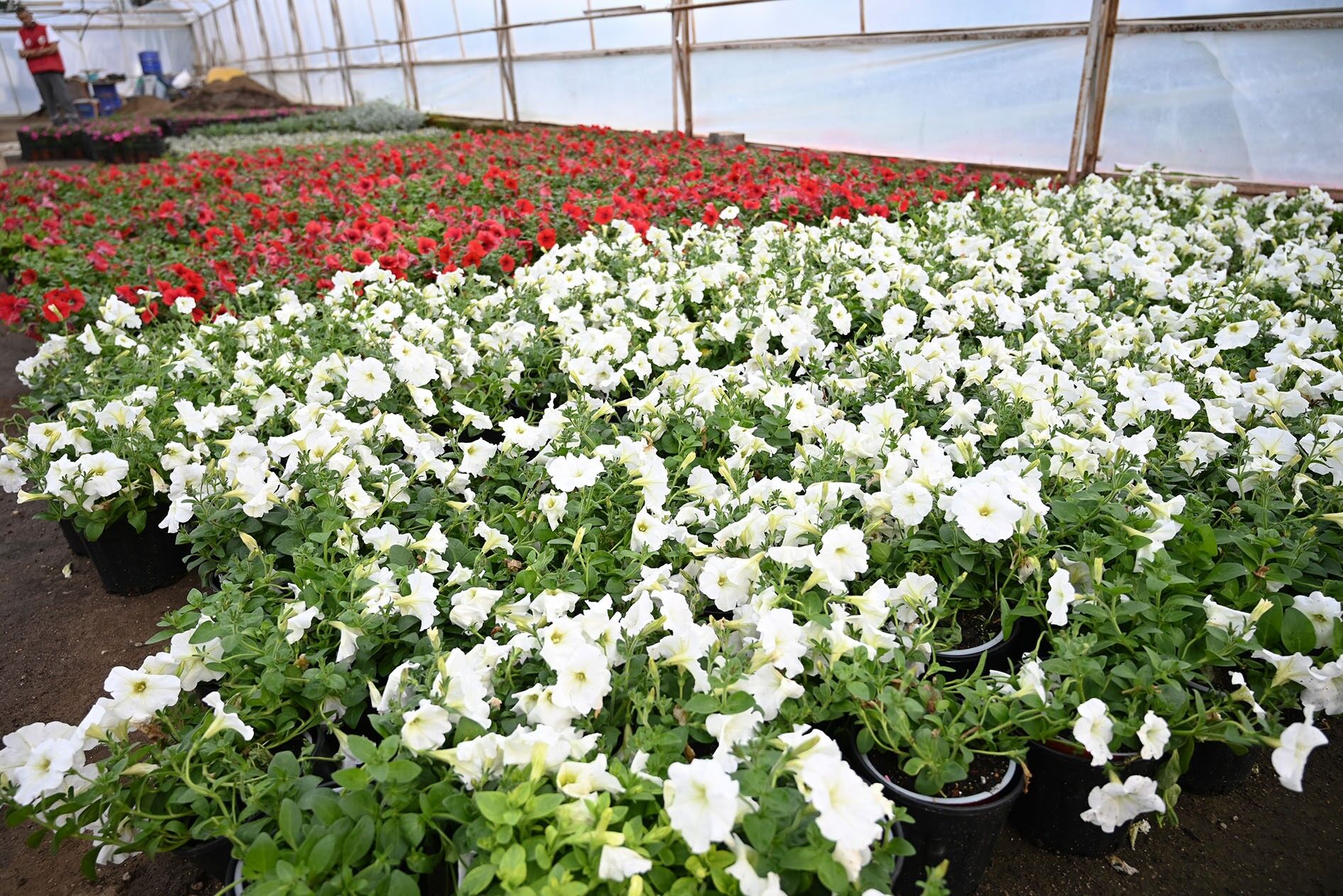 Turizmcennetikemerdegorselsolen