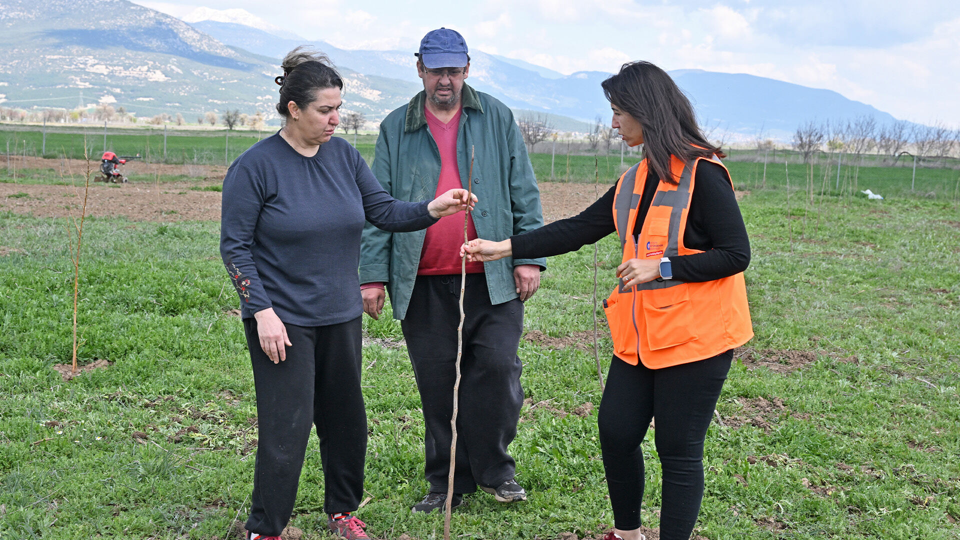 Ureticileregelirkaynagi