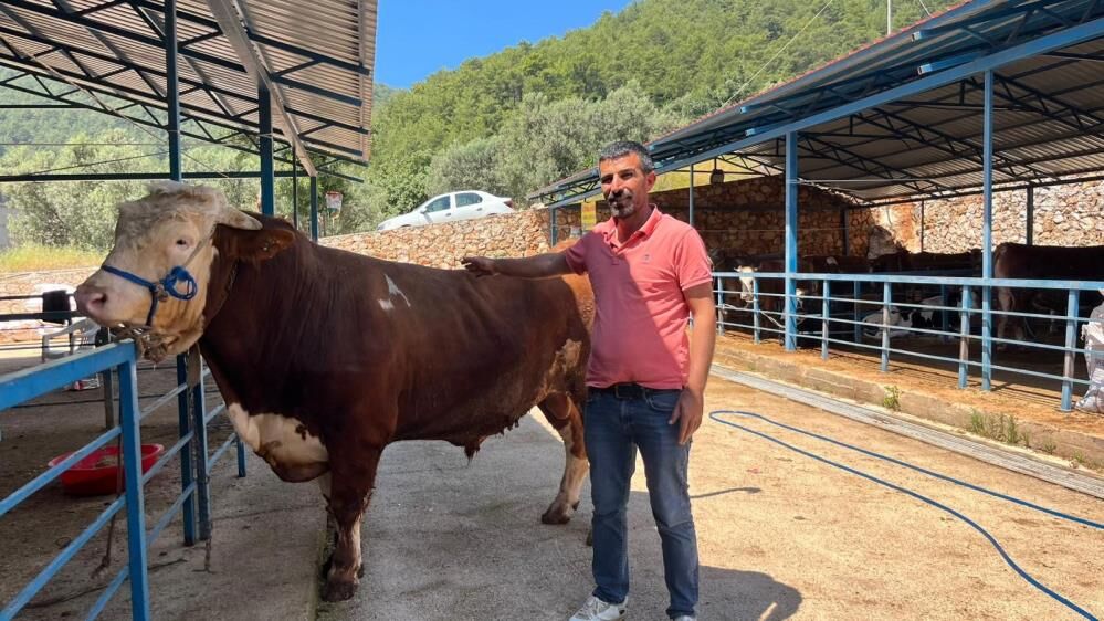 Alanyada1Ton200Kilogramlikkurban450Bintlyealicibuldu