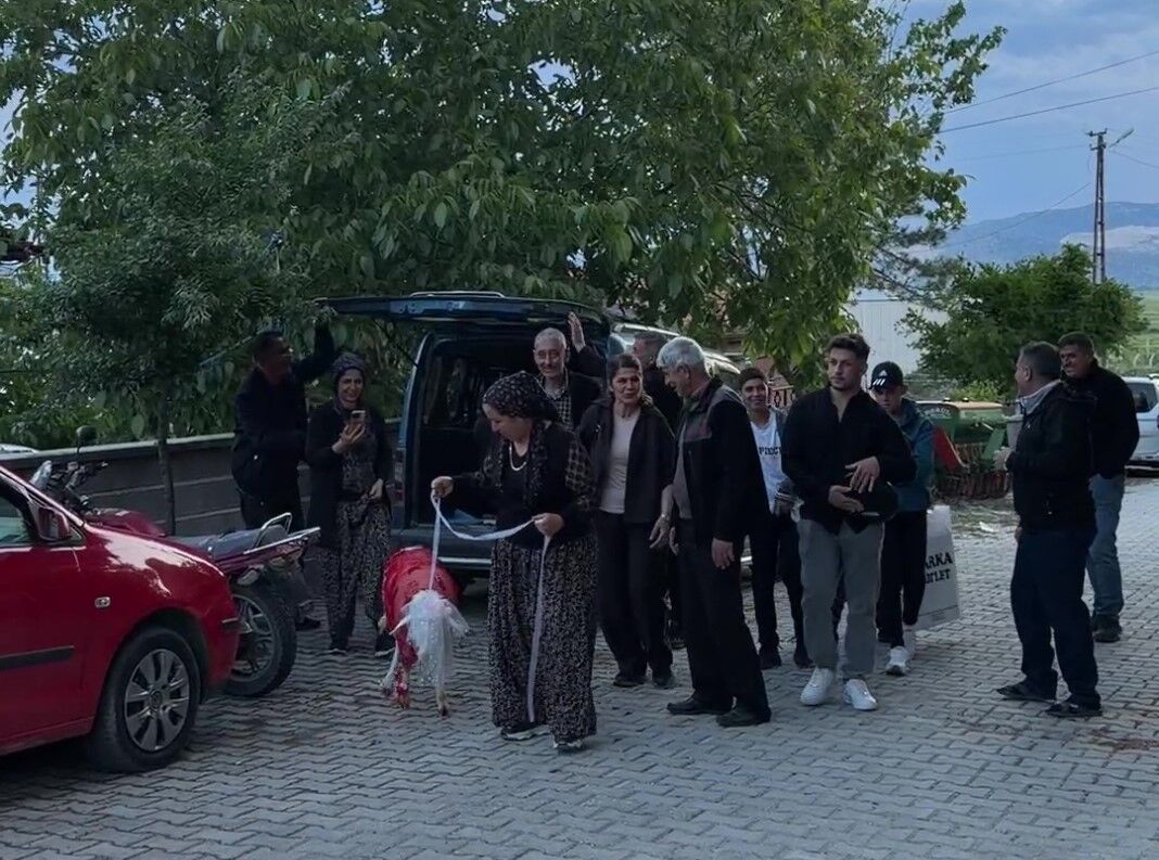 Antalyaligelineaskerdekinisanlisi