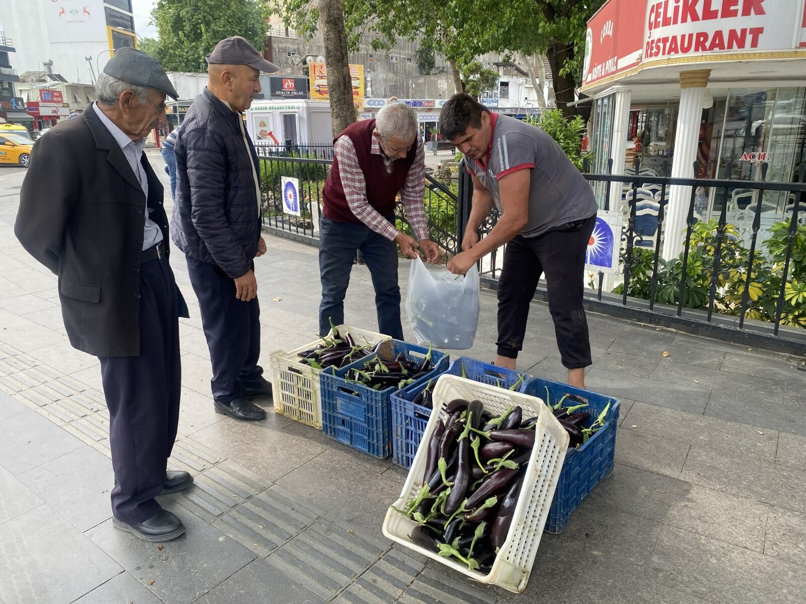 Maliyetikurtarmadiseraninkapilariacildipatlicanlarvatandasaucretsizdagitildi