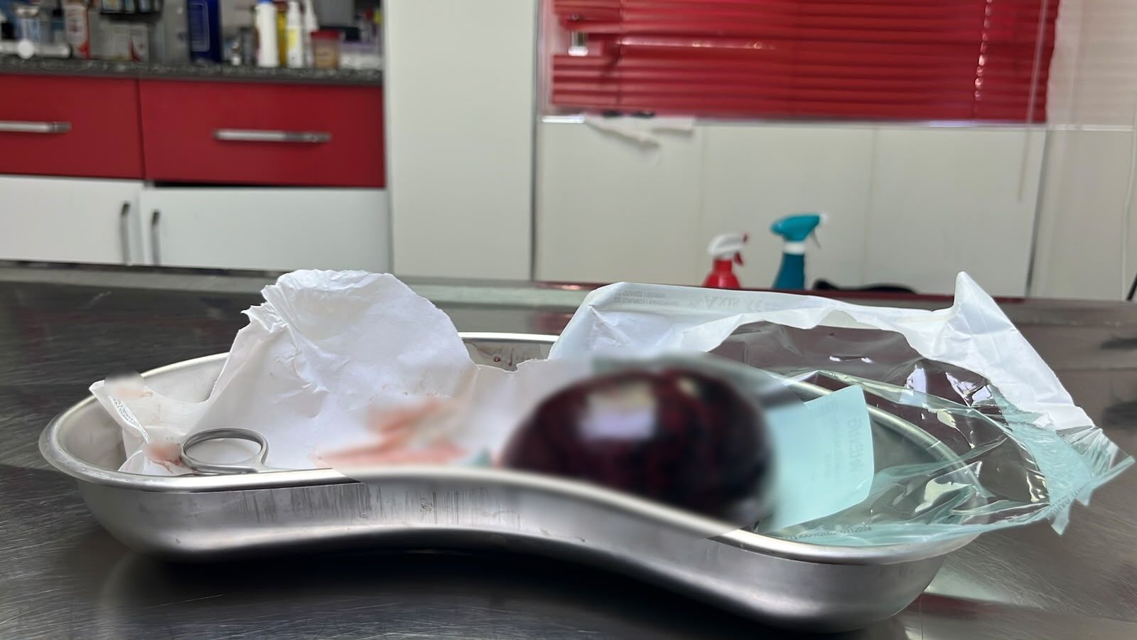 Alanyadakorkutanolaykedifistiktan400Gramlikkistcikarildi